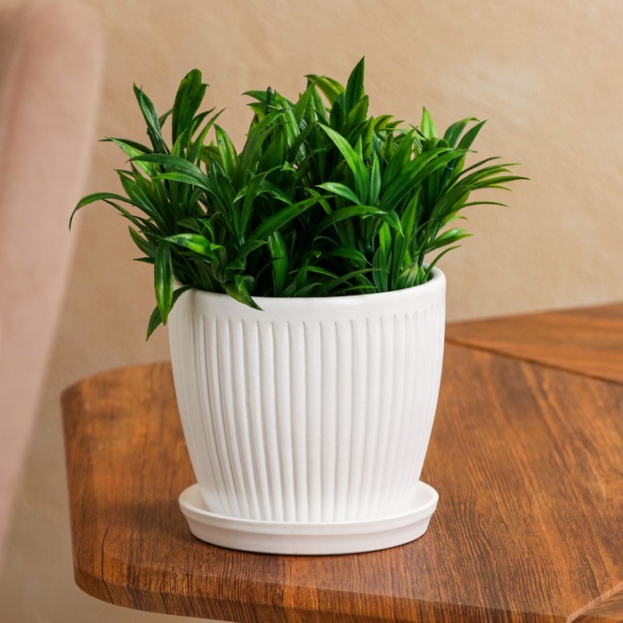 Горшок для цветов "Осень", вертикаль, белый, керамика, 1 л
Горшок для цветов "Осень", вертикаль, белый, керамика, 1 л