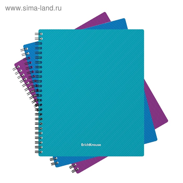Тетрадь А5+, 60 листов в клетку, на гребне GLANCE VIVID, пластиковая обложка, блок офсет, МИКС
Тетрадь А5+, 60 листов в клетку, на гребне GLANCE VIVID, пластиковая обложка, блок офсет, МИКС