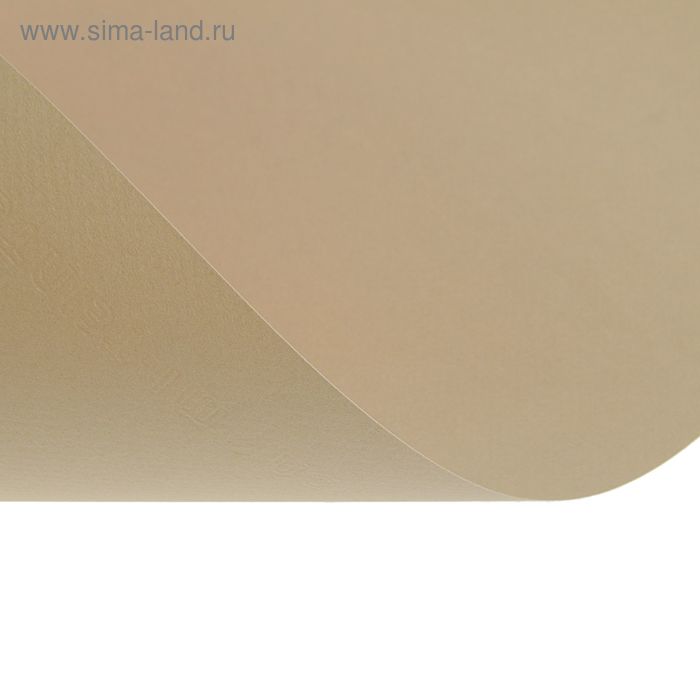 Бумага для пастели Mi-Teintes CANSON, 50 х 65 см, 1 лист, №340 Бежевый светлый, 160 г/м2
Бумага для пастели Mi-Teintes CANSON, 50 х 65 см, 1 лист, №340 Бежевый светлый, 160 г/м2
