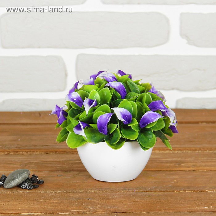 Бонсай 12*12 см с каллами МИКС
Бонсай 12*12 см с каллами МИКС