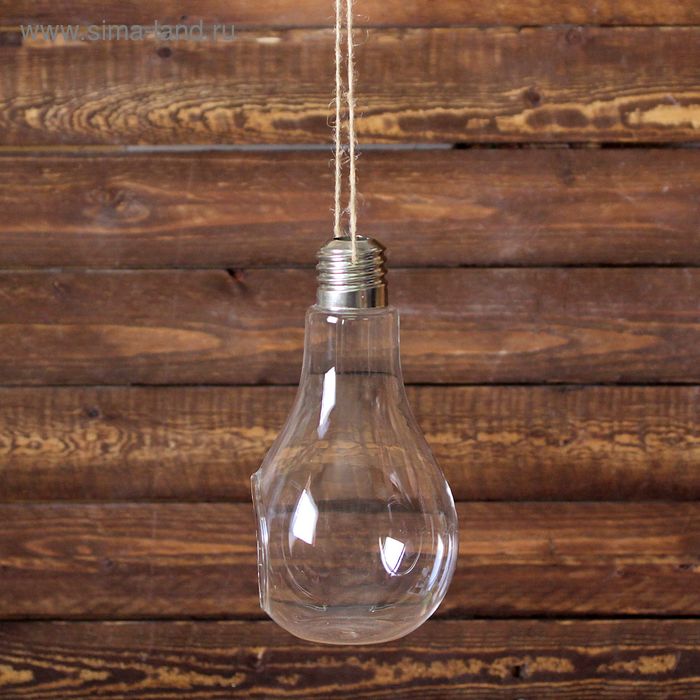 Флорариум 22*11 см лампочка, с верёвкой
Флорариум 22*11 см лампочка, с верёвкой