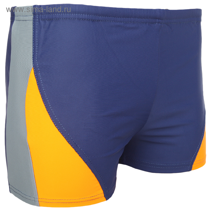 Плавки-шорты взрослые для плавания, размер 48, цвет чёрный/синий
Плавки-шорты взрослые для плавания, размер 48, цвет чёрный/синий