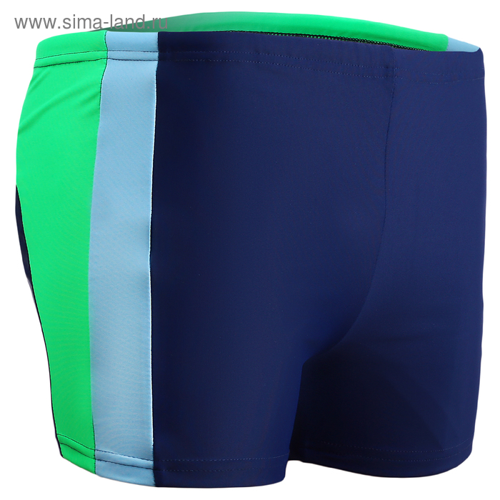 Плавки-шорты взрослые для плавания, размер 48
Плавки-шорты взрослые для плавания, размер 48