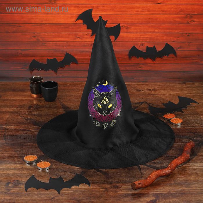 Шляпа ведьмы «Кошка с сеткой», цвет чёрный
Шляпа ведьмы «Кошка с сеткой», цвет чёрный