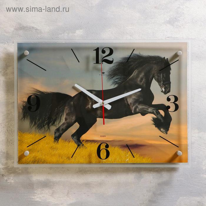 Часы настенные, серия: Животный мир, "Чёрный конь", 40х56 см микс
Часы настенные, серия: Животный мир, "Чёрный конь", 40х56 см микс