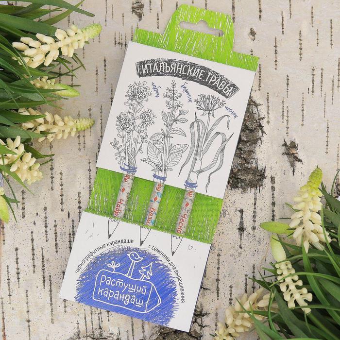 Растущие карандаши "Итальянские травы" набор 3 шт. черные
Растущие карандаши "Итальянские травы" набор 3 шт. черные