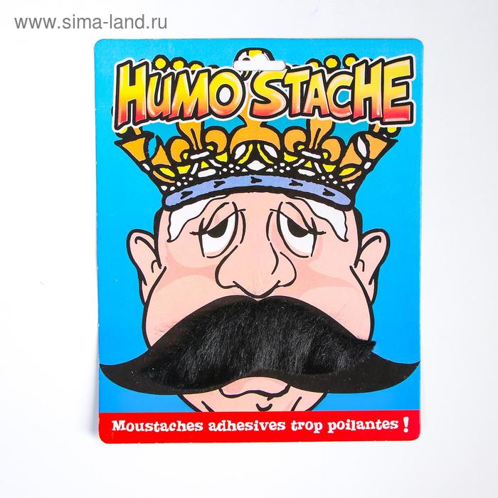 Карнавальные усы «Щёголь»
Карнавальные усы «Щёголь»