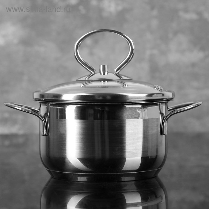 Кастрюля «Лотос Классика», 600 мл, d=12 см, стеклянная крышка, цвет хромированный
Кастрюля «Лотос Классика», 600 мл, d=12 см, стеклянная крышка, цвет хромированный
