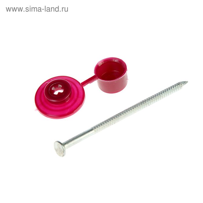 Гвозди для ондулина "СТРОЙБАТ", 80 мм, с пластиковой шляпкой, цвет бордо, 100 шт.
Гвозди для ондулина "СТРОЙБАТ", 80 мм, с пластиковой шляпкой, цвет бордо, 100 шт.