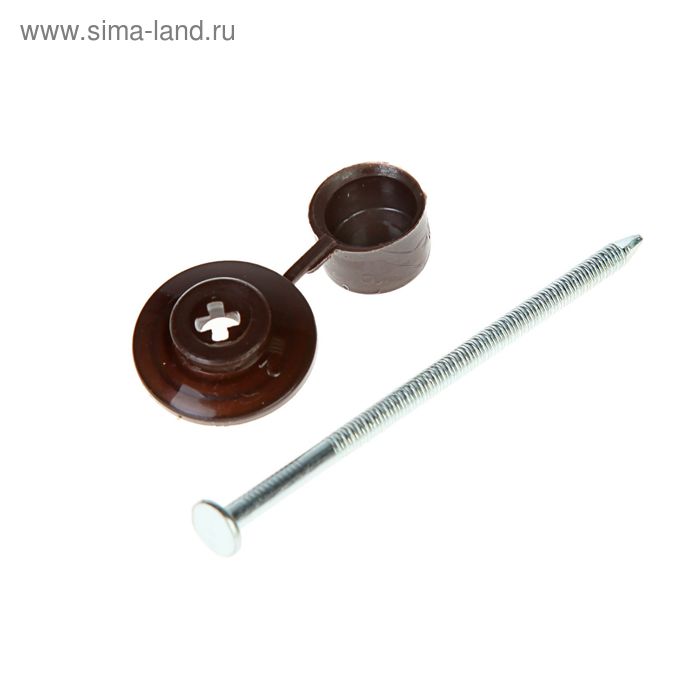 Гвозди для ондулина "СТРОЙБАТ", 80 мм, с пластиковой шляпкой, коричневые, 100 шт.
Гвозди для ондулина "СТРОЙБАТ", 80 мм, с пластиковой шляпкой, коричневые, 100 шт.