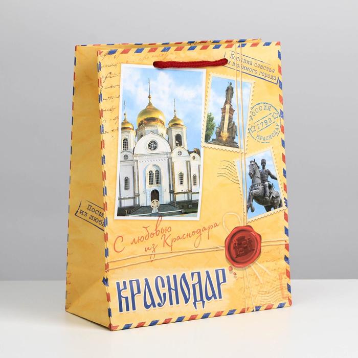 Пакет подарочный МС «Краснодар»
Пакет подарочный МС «Краснодар»