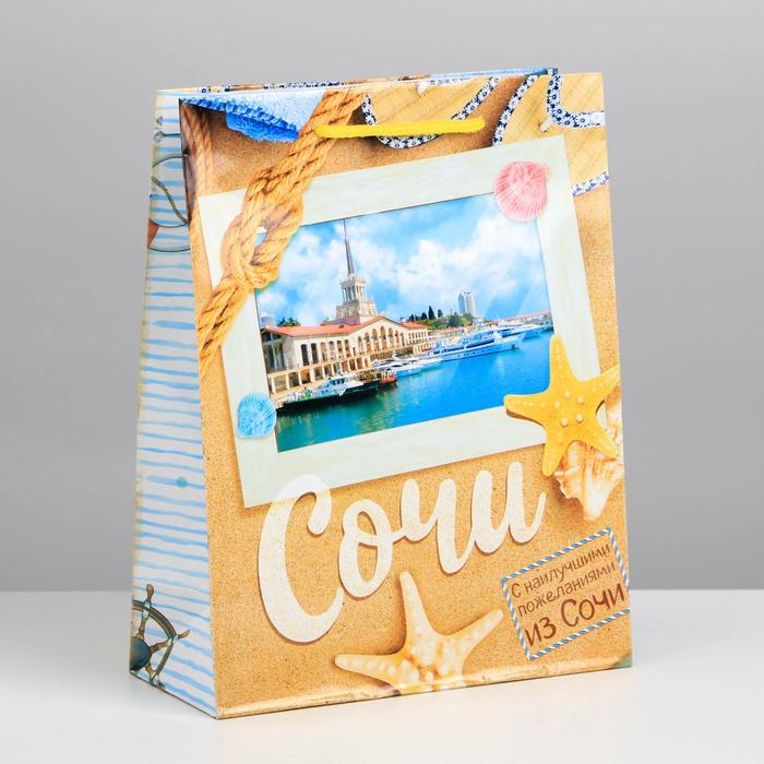 Пакет подарочный МС «Сочи»
Пакет подарочный МС «Сочи»