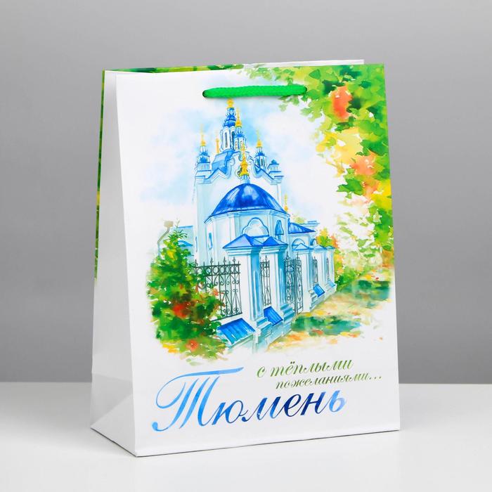 Пакет подарочный МS «Тюмень»
Пакет подарочный МS «Тюмень»