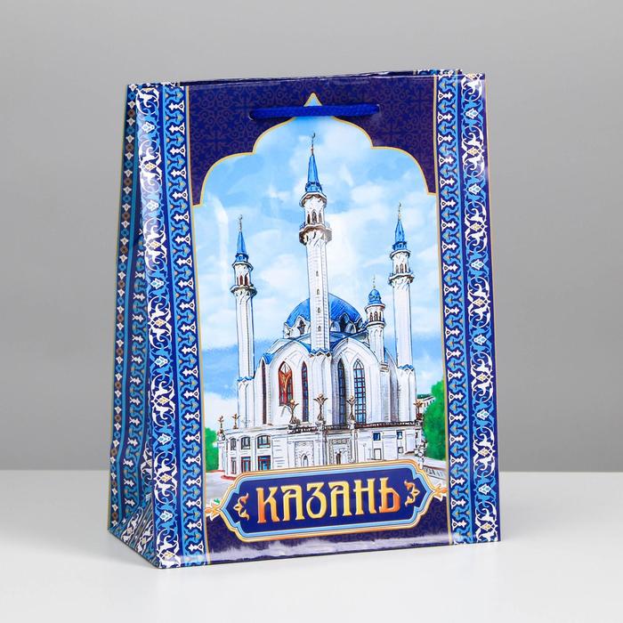 Пакет подарочный МС «Казань»
Пакет подарочный МС «Казань»