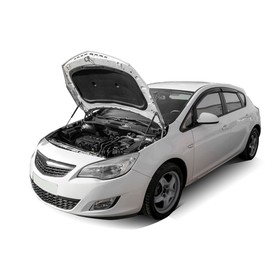 Упоры капота Rival для Opel Astra J хэтчбек 5-дв., универсал, седан, 2009-2012 2012-2017, 2 шт., A.ST.4201.1
Упоры капота Rival для Opel Astra J хэтчбек 5-дв., универсал, седан, 2009-2012 2012-2017, 2 шт., A.ST.4201.1