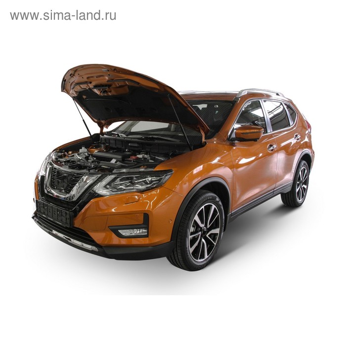 Упоры капота АвтоУПОР для Nissan X-Trail III T32 2015-2018 2018-н.в., 2 шт., UNIXTR021
Упоры капота АвтоУПОР для Nissan X-Trail III T32 2015-2018 2018-н.в., 2 шт., UNIXTR021