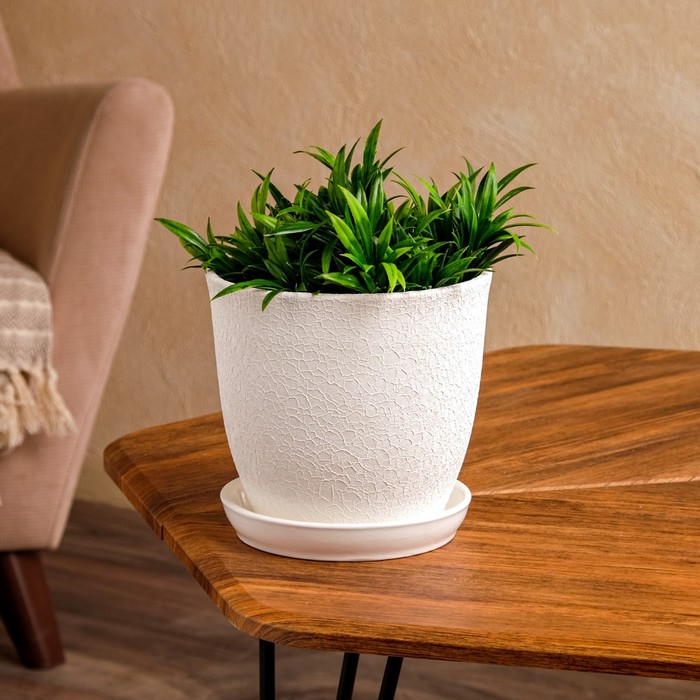 Горшок для цветов "Глория", шёлк, белый, керамика, 2 л
Горшок для цветов "Глория", шёлк, белый, керамика, 2 л