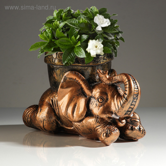 Кашпо "Слон с горшком'', бронзовое, гипс, 0.5 л, микс
Кашпо "Слон с горшком'', бронзовое, гипс, 0.5 л, микс