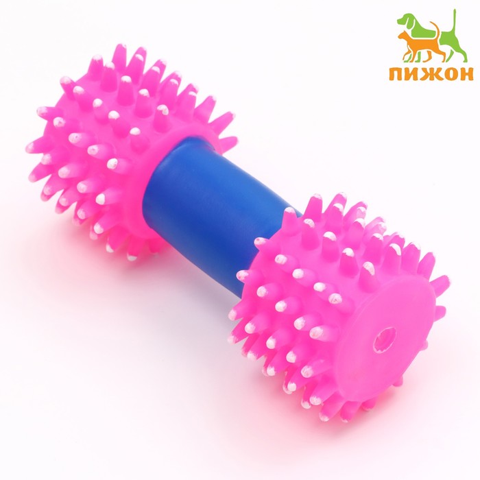 Игрушка для собак пищащая "Массажная гантель", 14 см, микс цветов
Игрушка для собак пищащая "Массажная гантель", 14 см, микс цветов