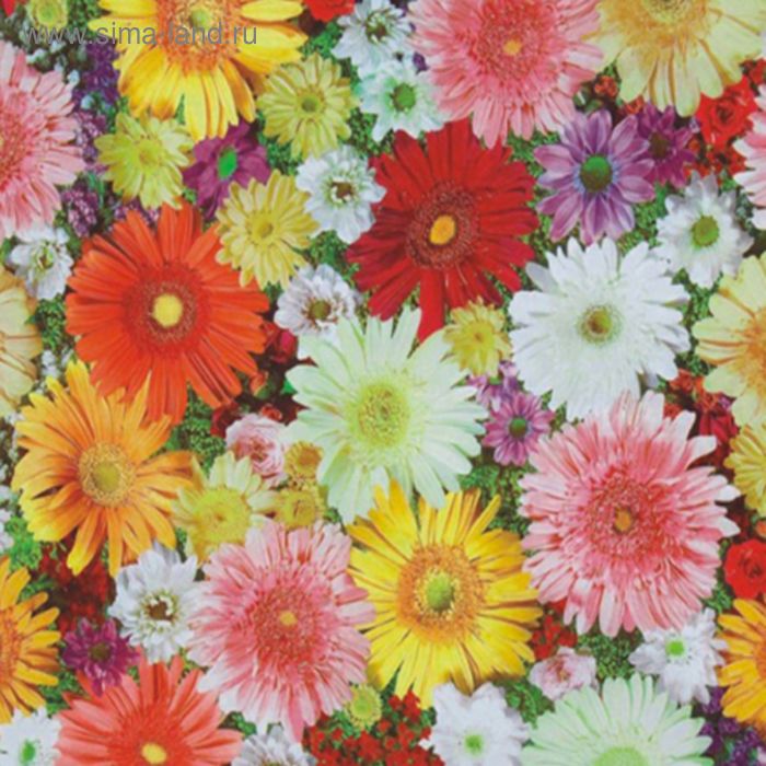 Клеёнка столовая «Полли» 140 см, рулон 20 пог. м
Клеёнка столовая «Полли» 140 см, рулон 20 пог. м