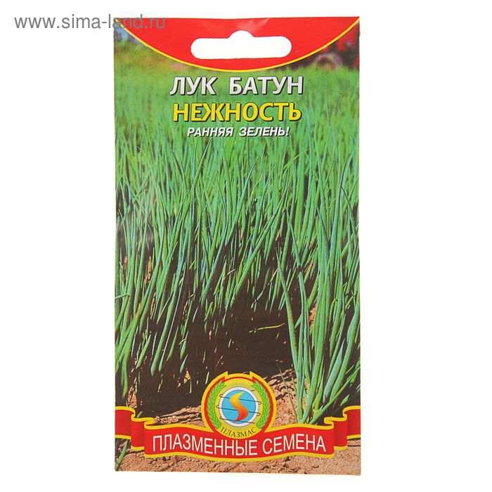 Семена Лук батун "Нежность", 0,6 г
Семена Лук батун "Нежность", 0,6 г