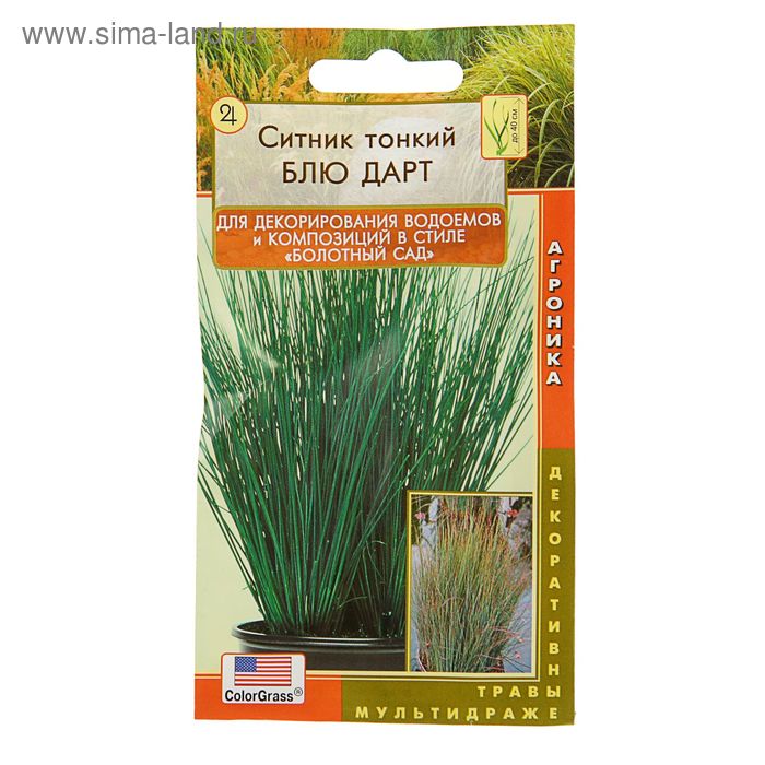 Семена цветов Ситник "Блю Дарт", 3 шт.
Семена цветов Ситник "Блю Дарт", 3 шт.