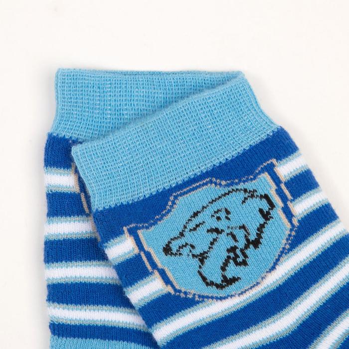 фото Носки детские махровые, цвет васильковый, размер 16-18 носкофф