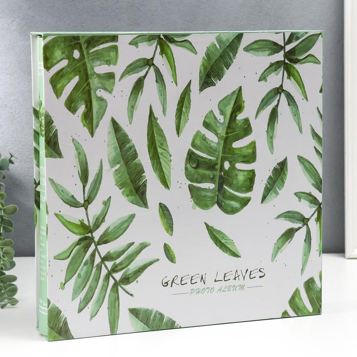 Фотоальбом 898 фото (9х13, 10х15, 13х18, 15х20, 20х25) "Листья" в коробке 34х34х6 см
Фотоальбом 898 фото (9х13, 10х15, 13х18, 15х20, 20х25) "Листья" в коробке 34х34х6 см