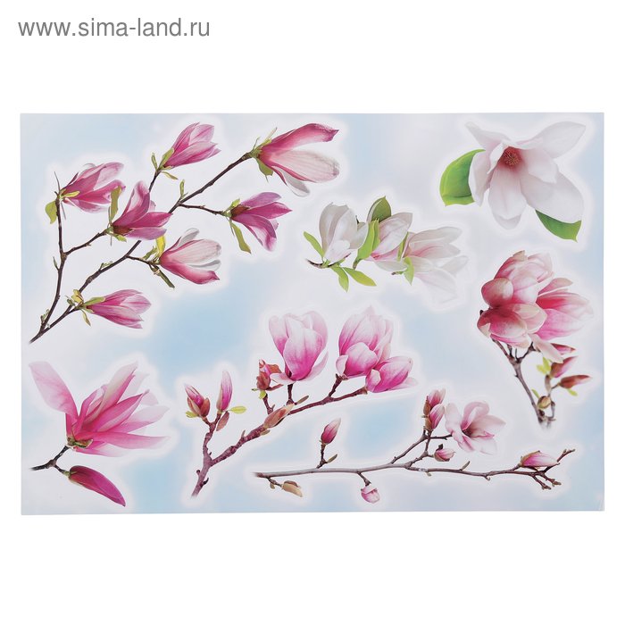 Наклейки Decoretto "Магнолия" 25х35 см
Наклейки Decoretto "Магнолия" 25х35 см