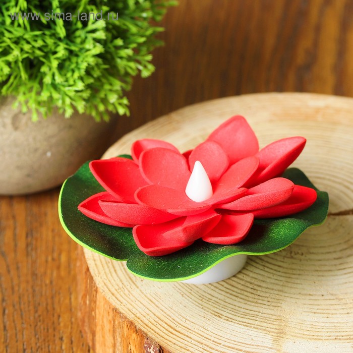 Декор световой «Цветок», с датчиком прикосновения с водой, цвета МИКС
Декор световой «Цветок», с датчиком прикосновения с водой, цвета МИКС