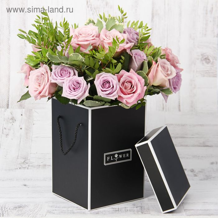 Набор коробок 3 в 1, чёрный, 17 х 17 х 25 - 14 х 14 х 23 см
Набор коробок 3 в 1, чёрный, 17 х 17 х 25 - 14 х 14 х 23 см