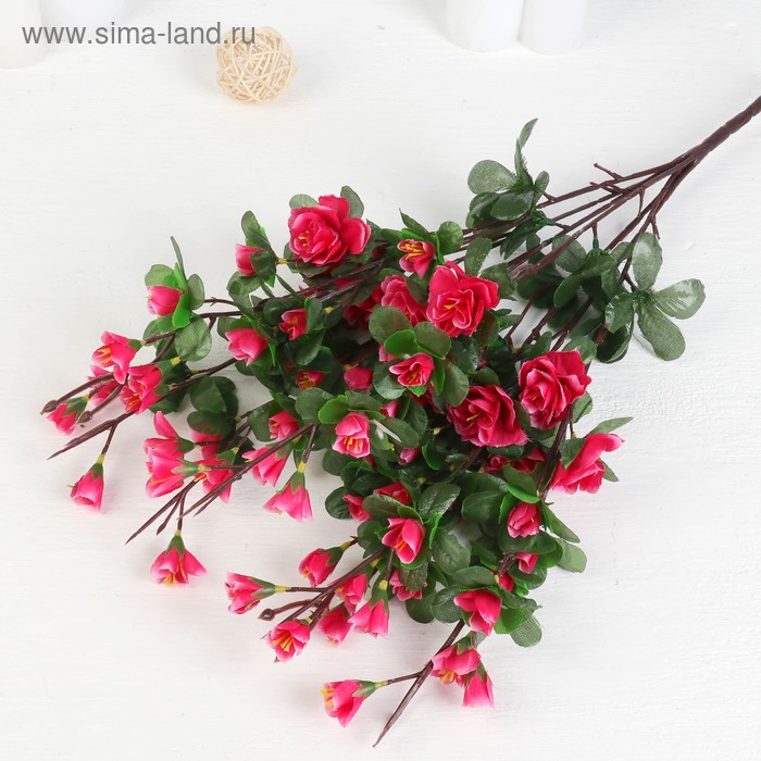 Букет "Молинг" 52 см, микс
Букет "Молинг" 52 см, микс