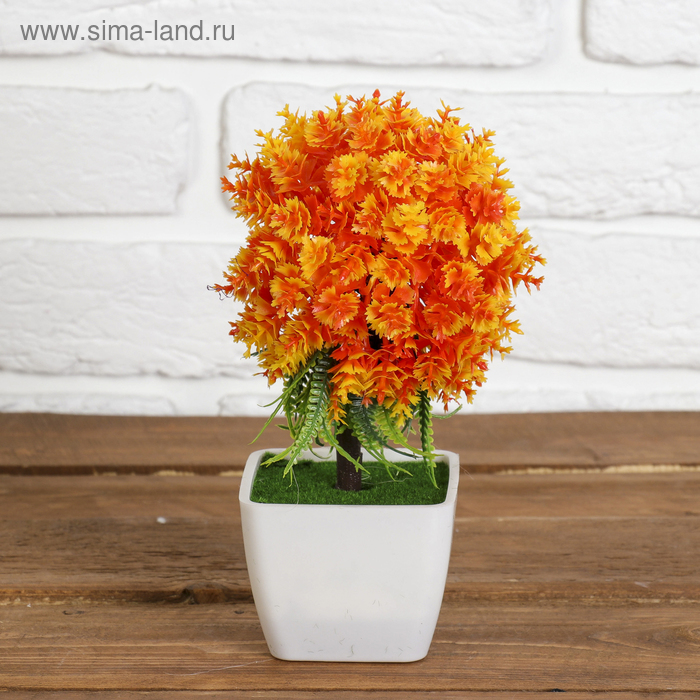 Бонсай "Папоротник цветочный" 7*19 см микс
Бонсай "Папоротник цветочный" 7*19 см микс