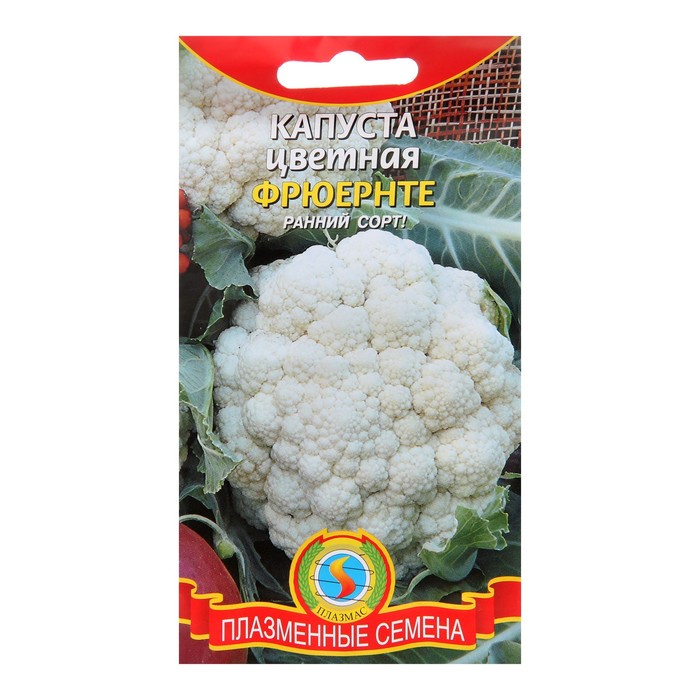 Семена Капуста цветная "Фрюернте", 0,3 г
Семена Капуста цветная "Фрюернте", 0,3 г