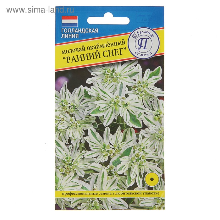 Семена цветов Молочай окаймленный "Ранний снег", О, 20 шт
Семена цветов Молочай окаймленный "Ранний снег", О, 20 шт