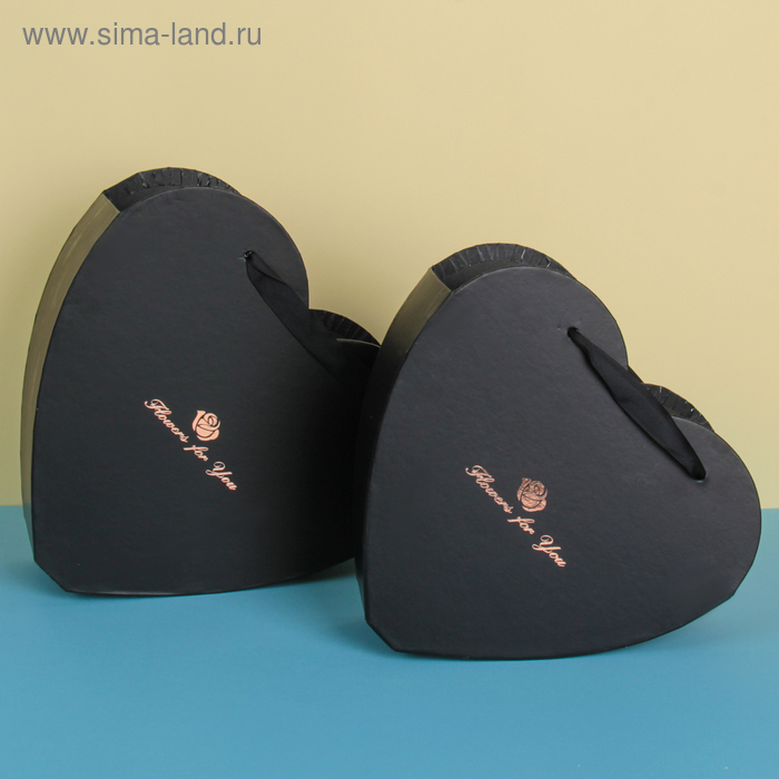 Набор коробок 2в1, 26 х 27 х 10 - 22 х 24 х 8 см
Набор коробок 2в1, 26 х 27 х 10 - 22 х 24 х 8 см