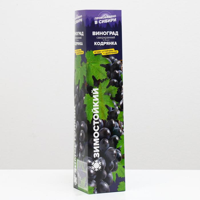 Саженец винограда Кодрянка, 1 шт, Весна 2022
Саженец винограда Кодрянка, 1 шт, Весна 2022