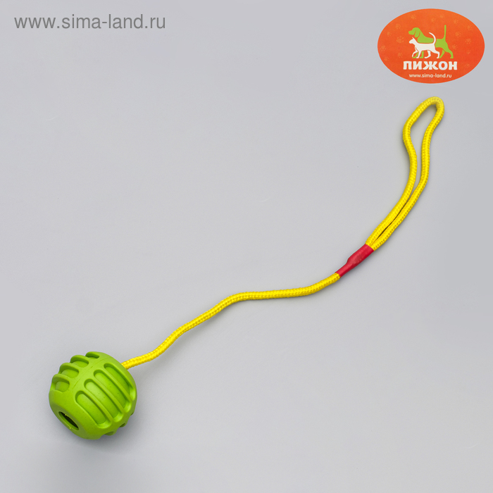 Игрушка "Шар усиленный на веревке", 43 см, шар 6 см, микс цветов
Игрушка "Шар усиленный на веревке", 43 см, шар 6 см, микс цветов