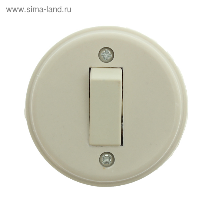 Выключатель "Топ", 10 А, 220 В, 1 клавиша, накладной, белый
Выключатель "Топ", 10 А, 220 В, 1 клавиша, накладной, белый