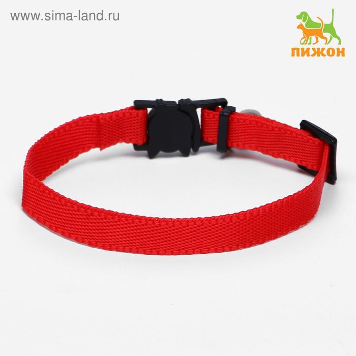 Ошейник кошачий с бубенчиком, 30 х 1 см, полиэстер, микс цветов
Ошейник кошачий с бубенчиком, 30 х 1 см, полиэстер, микс цветов