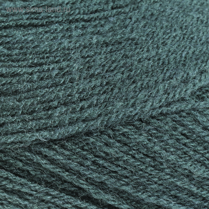 Пряжа "Lanagold 800" 49% шерсть, 51% акрил 800м/100гр (426 т. зеленый)
Пряжа "Lanagold 800" 49% шерсть, 51% акрил 800м/100гр (426 т. зеленый)