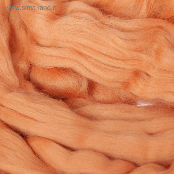 Гребенная лента 100% тонкая мериносовая шерсть 100гр (2212, абрикос)
Гребенная лента 100% тонкая мериносовая шерсть 100гр (2212, абрикос)