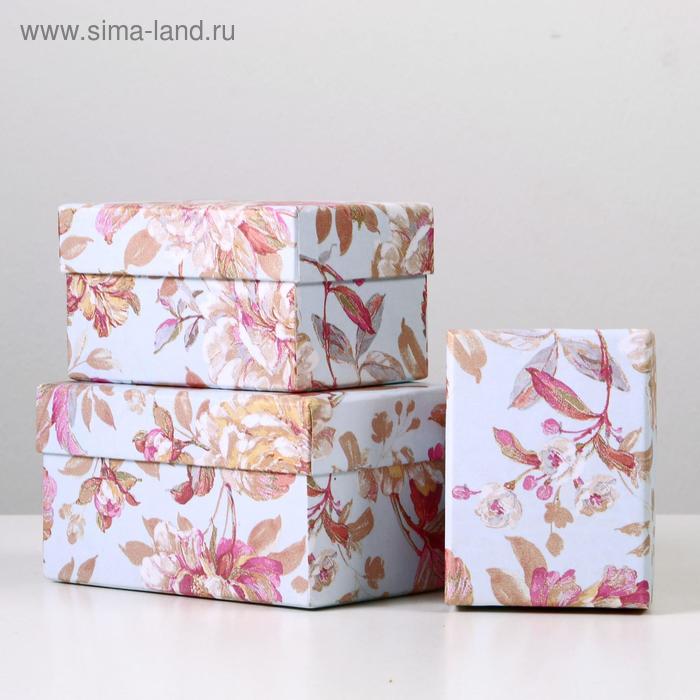 Набор коробок 3 в 1, 14 х 10 х 8 - 10 х 7,5 х 6 см
Набор коробок 3 в 1, 14 х 10 х 8 - 10 х 7,5 х 6 см