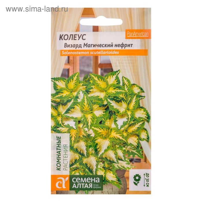 Семена комнатных цветов Колеус "Магический Нефрит", 10 шт.
Семена комнатных цветов Колеус "Магический Нефрит", 10 шт.