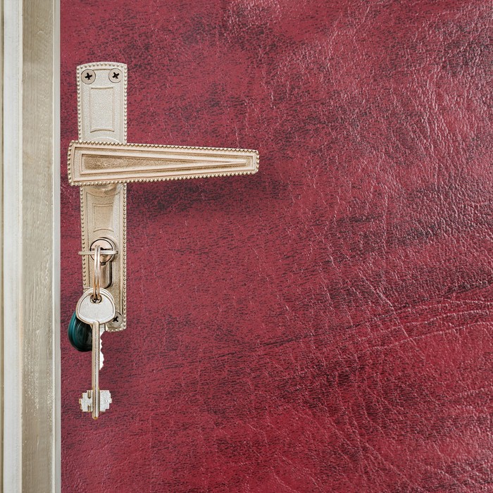 Комплект для обивки дверей: иск.кожа, поролон 5 мм, гвозди, струна, МИКС, «Рулон»
Комплект для обивки дверей: иск.кожа, поролон 5 мм, гвозди, струна, МИКС, «Рулон»