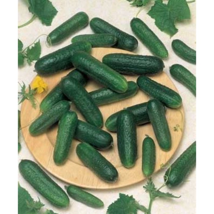 Семена Огурец Карин F1, 250 шт, RS
Семена Огурец Карин F1, 250 шт, RS