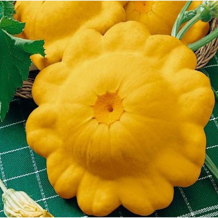 Семена Патиссон Сани Делайт F1, 1 000 шт, RS
Семена Патиссон Сани Делайт F1, 1 000 шт, RS