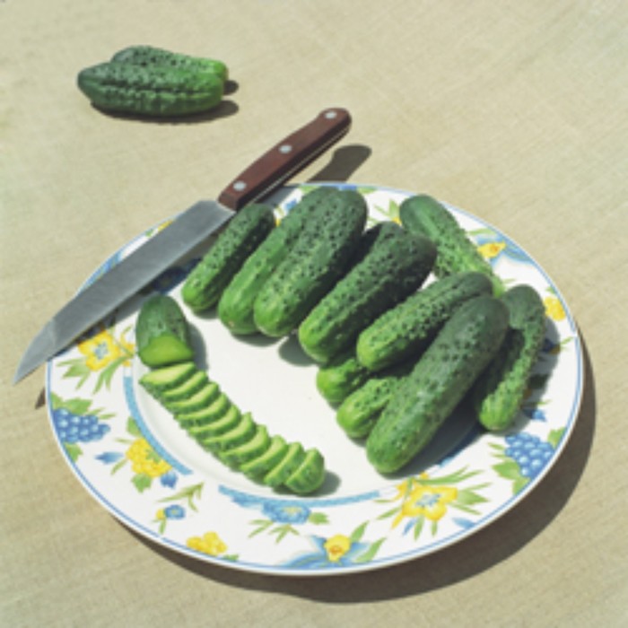 Семена Огурец Альянс (Bejo 2640) F1, 50 гр, Bejo
Семена Огурец Альянс (Bejo 2640) F1, 50 гр, Bejo