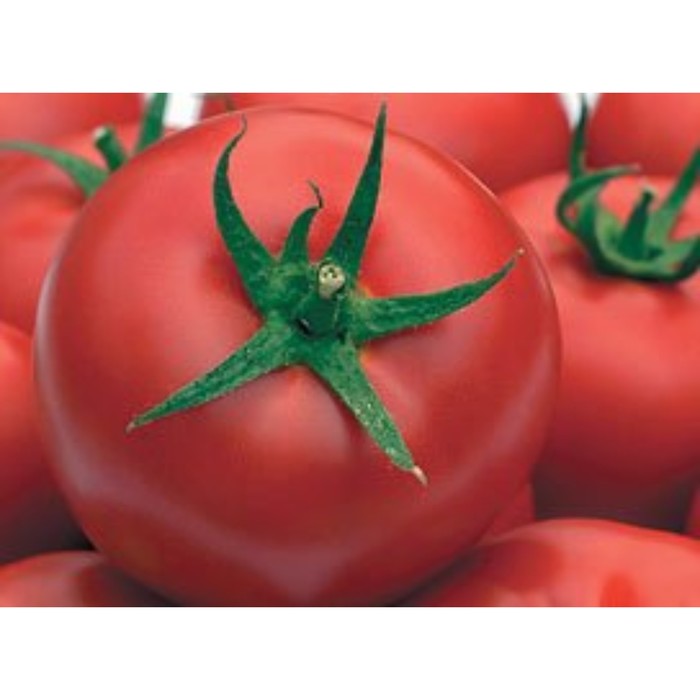 Семена Томат Гравитет F1, 500 шт, SG
Семена Томат Гравитет F1, 500 шт, SG