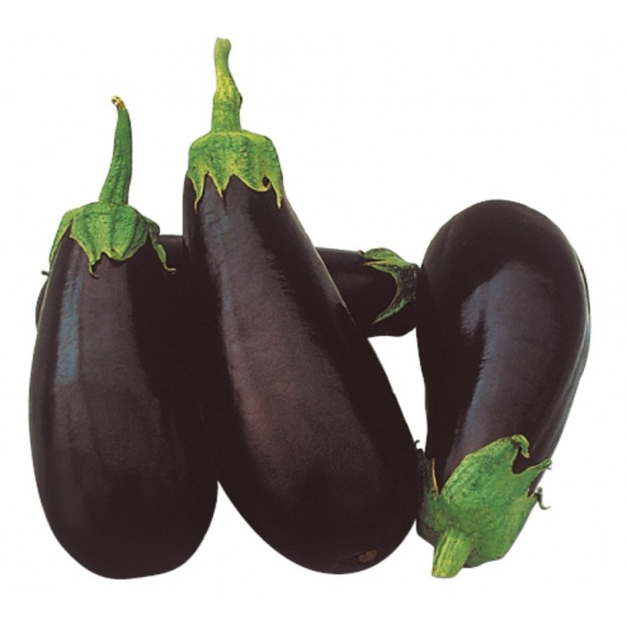 Семена Баклажан Классик F1, 5 гр, CLAUSE
Семена Баклажан Классик F1, 5 гр, CLAUSE